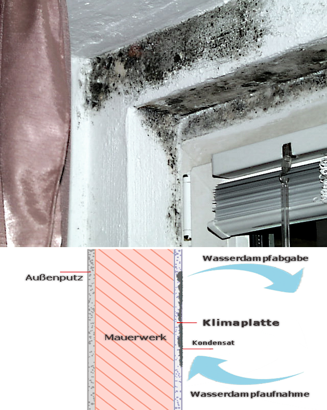Schadensbilder vom Schimmel 003